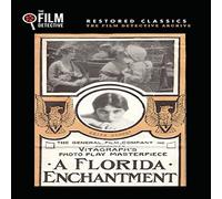 A Florida Enchantment