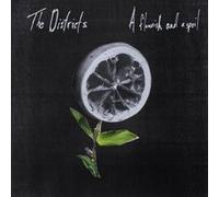 The Districts - Flourish And A Spoil [Vinyl]