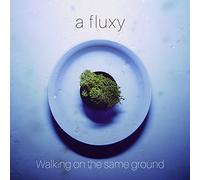 A Fluxy - Walking on the Same Ground [Import allemand]