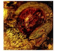 A forest of stars - Beware The Sword You Cannot See [Import]