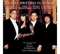 A Gala Christmas In Vienna