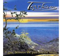 A Gaze Between Past and The Future