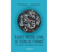 A gente precisa lutar de todas as formas : povos indígenas e o enfre
