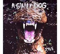 A Giant Dog – Pile – CD – Importé – Merge Labs