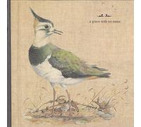 A Grave with No Name Feathers Wet, Under the Moon (Vinyl) 12" Album