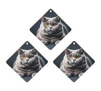 A Gray Cat Is Lying Lot de 3 désodorisants à suspendre pour voiture, maison, bureau, style gris