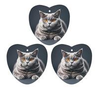 A Gray Cat Is Lying Lot de 3 désodorisants à suspendre pour voiture, maison, bureau, style gris