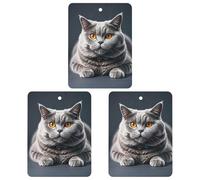 A Gray Cat Is Lying Lot de 3 désodorisants carrés à suspendre pour voiture, maison, bureau, style noir