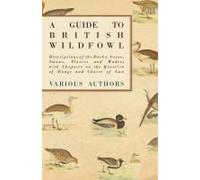 A Guide To British Wildfowl - Descriptions Of The Ducks, Geese, Swans, Plovers And Waders With Chapters On The Question Of Range And Choice Of Gun