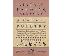 A Guide To Poultry - Containing Information On Turkeys, Chickens, Geese, Housing, Health And Many Other Aspects Of Poultry Keeping