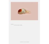 A Guide to the Flora and Fauna of the World