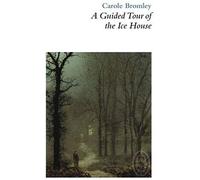 A Guided Tour Of The Ice House
