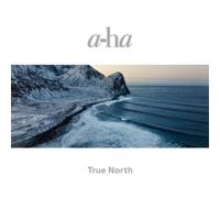a-ha True North (Vinyl) 12" Album (Gatefold Cover)