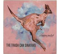 A Happy Pocket [Import]