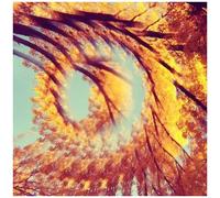 A Hawk And A Hacksaw - Forest Bathing [Cd]