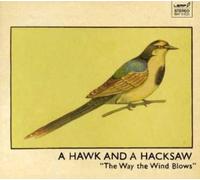 A Hawk and a Hacksaw - Way the Wind Blows