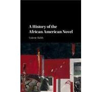 A History Of The African American Novel
