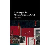 A History Of The African American Novel