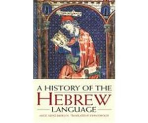 A History of the Hebrew Language Angel Saenz-Badillos (Auteur)