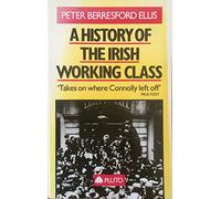 A HISTORY OF THE IRISH WORKING CLASS
