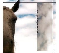 A Horse Named Cisco