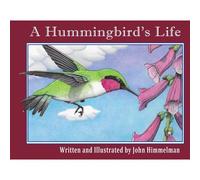 A Hummingbird's Life