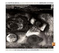 A l’agité du Bocal Le Caillou dans la chaussure Digipack Inclus DVD CD