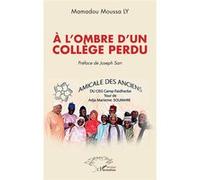 À l’ombre d’un collège perdu Mamadou Moussa Ly (Auteur), Joseph Sarr (Préface)