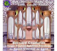 A l Orgue Freytag Aubertin Tricoteaux de Saint Vincent/Lyon