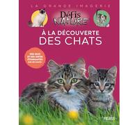 À la découverte des chats