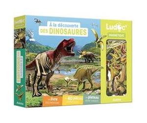 À la decouverte des dinosaures Emmanuelle Ousset (Auteur), Charlie Ples (Illustration)