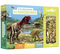 À la decouverte des dinosaures - Emmanuelle Ousset - Auzou Philippe Eds - Boîte ou accessoire - Document jeunesse dès 6 ans