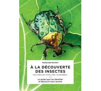À la découverte des insectes – Coccinelles, papillons, scarabées – Larousse