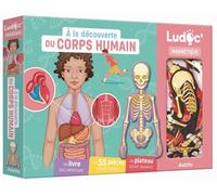 Adèle Pedrola – A la découverte du corps humain – Coffret: livre, 55+ pièces magnétiques – Auzou