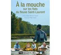 À La Mouche Sur Les Flats Du Fleuve Saint-Laurent