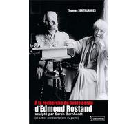 A la recherche du buste perdu d'Edmond Rostand sculpté par Sarah Bernhardt (et autres représentations du poète)