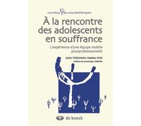 A La Rencontre Des Adolescents En Souffrance - L'expérience D'une Équipe Mobile Pluriprofessionnelle (1 Dvd)