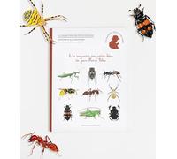A la rencontre des petites bêtes de Jean-Henri Fabre