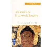 A la source de la parole du Bouddha Anonyme (Auteur), Fabrice Midal (Préface)