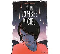 À la tombée du ciel - Roman Fantastique