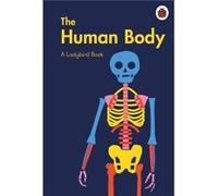 A Ladybird Book: The Human Body