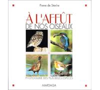 A L'AFFUT DE NOS OISEAUX