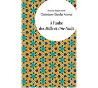À l'aube des Mille et Une Nuits Études comparatistes - Christiane Chaulet-Achour - Presses Universitaires Vincennes - broché - Essai
