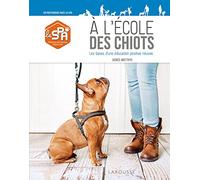 À l'école des chiots