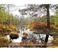 A l'écoute de la forêt de Fontainebleau