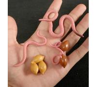 A Lecture Upon The Origin Of Freemasonry [Microform]: Traced From The Earliest Known Period Up To The Present Century, Collected From Authentic Record