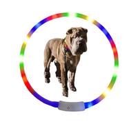 à LED, à LED, Collier réglable avec 4 Modes, Accessoires pour Animaux de Compagnie, coloré Clignotant pour Animaux de Compagnie de Petite et Grande Taille