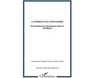 A l'épreuve du capitalisme Christine Demmer (Auteur), Marie Salaün (Auteur)