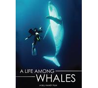 A Life Among Whales