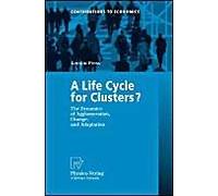 A Life Cycle For Clusters ? : The Dynamics Of Agglomeration, Change, And Adaption Contributions To Economics